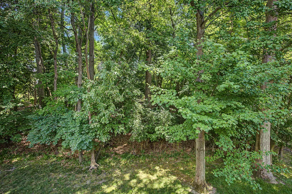 3015 S Wood Dale Drive Summit Township, MI 49203