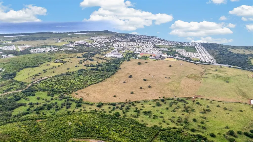 BO ALGARROBO Guayama, PR 00784