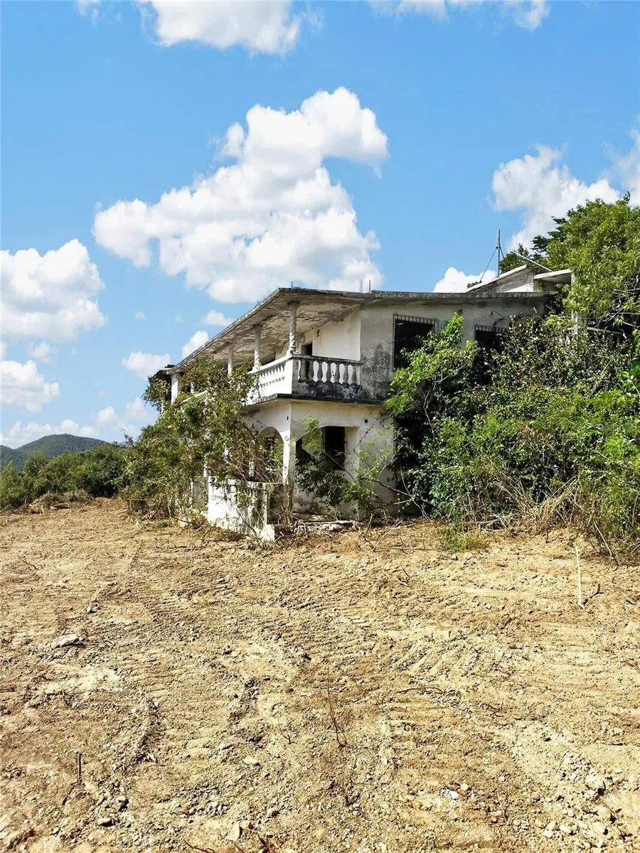 BO ALGARROBO Guayama, PR 00784