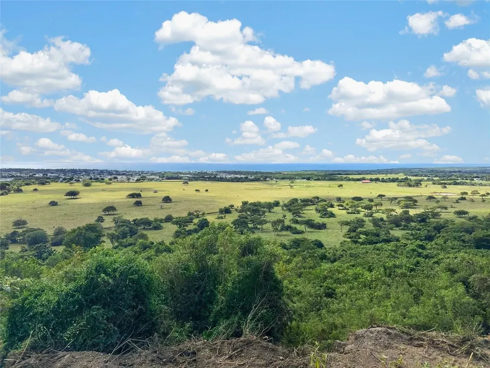 BO ALGARROBO Guayama, PR 00784