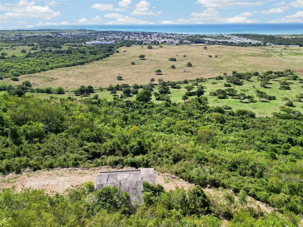 BO ALGARROBO Guayama, PR 00784