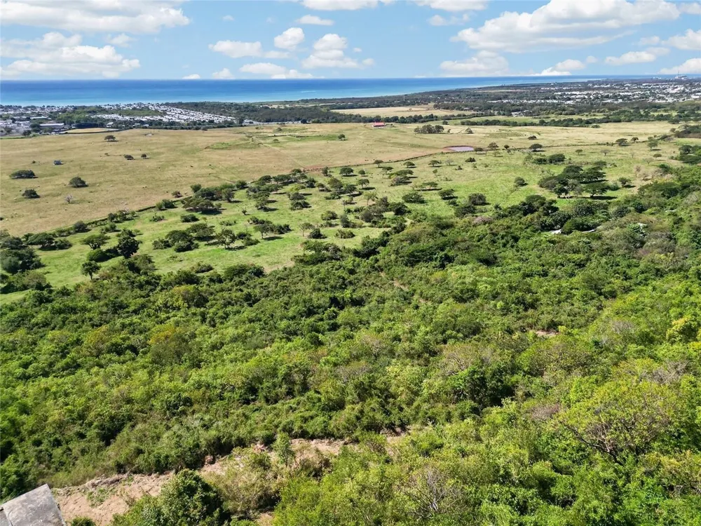 BO ALGARROBO Guayama, PR 00784