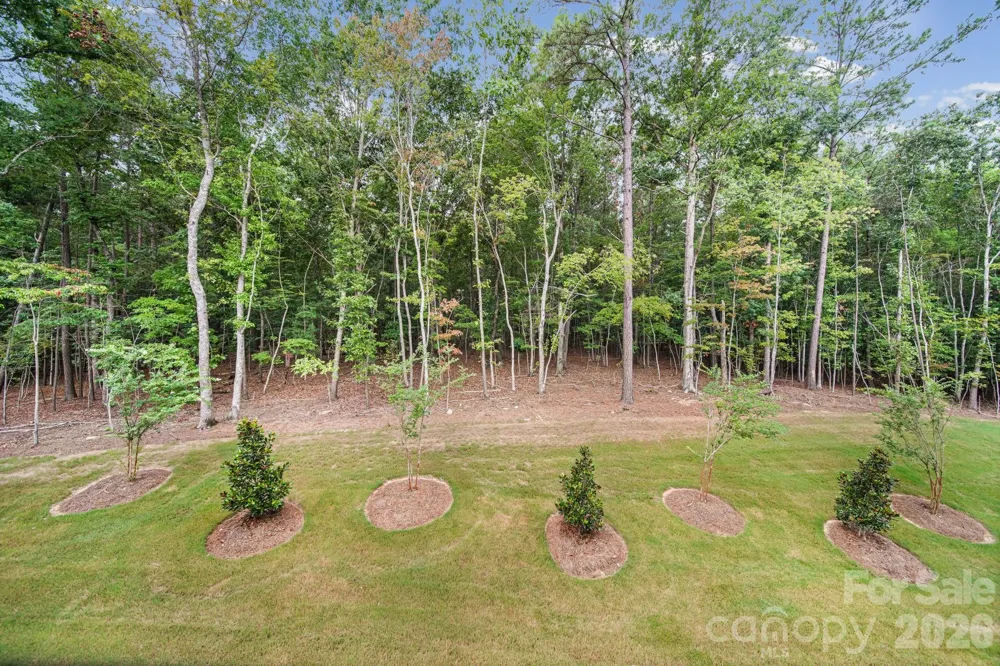 1131 Bandon Drive Waxhaw, NC 28173