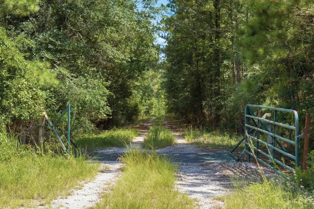 118 Cr 278c Anderson, TX 77830
