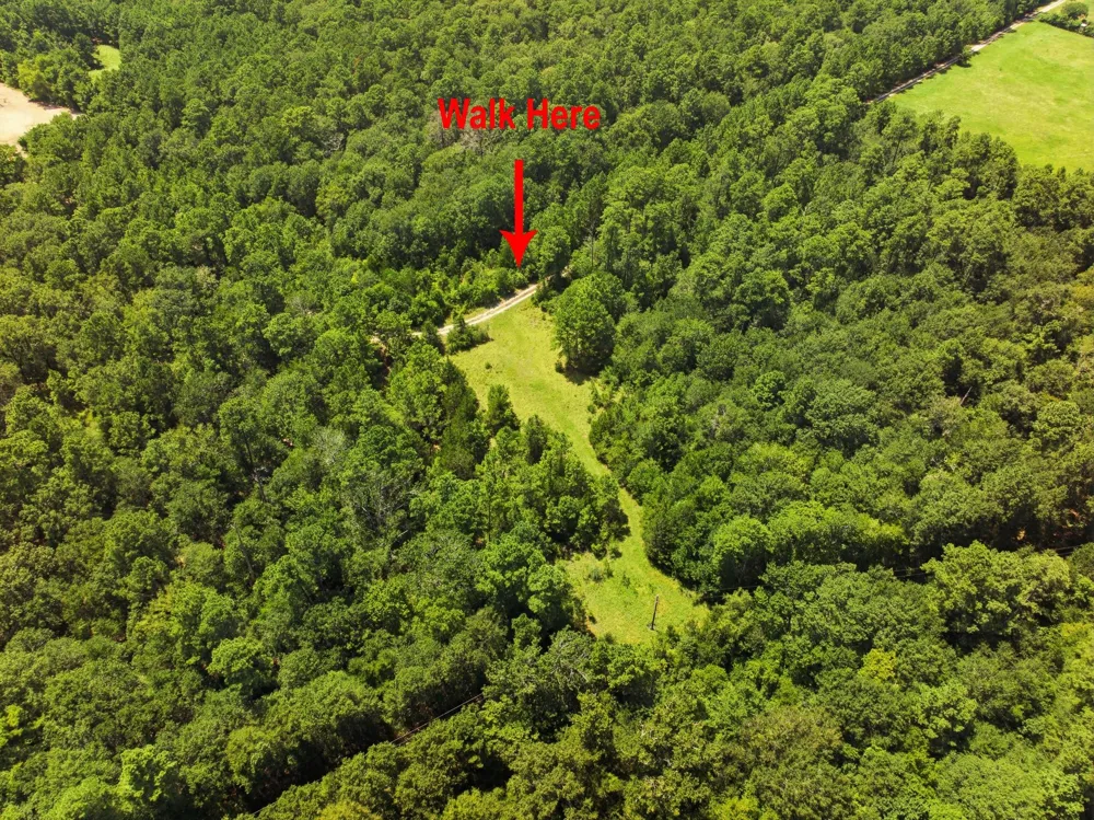 118 Cr 278c Anderson, TX 77830