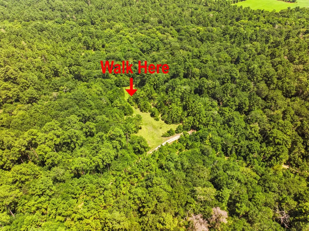 118 Cr 278c Anderson, TX 77830