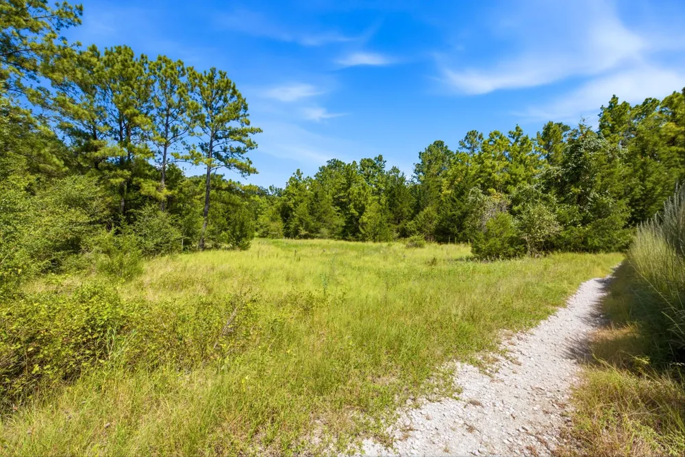 118 Cr 278c Anderson, TX 77830