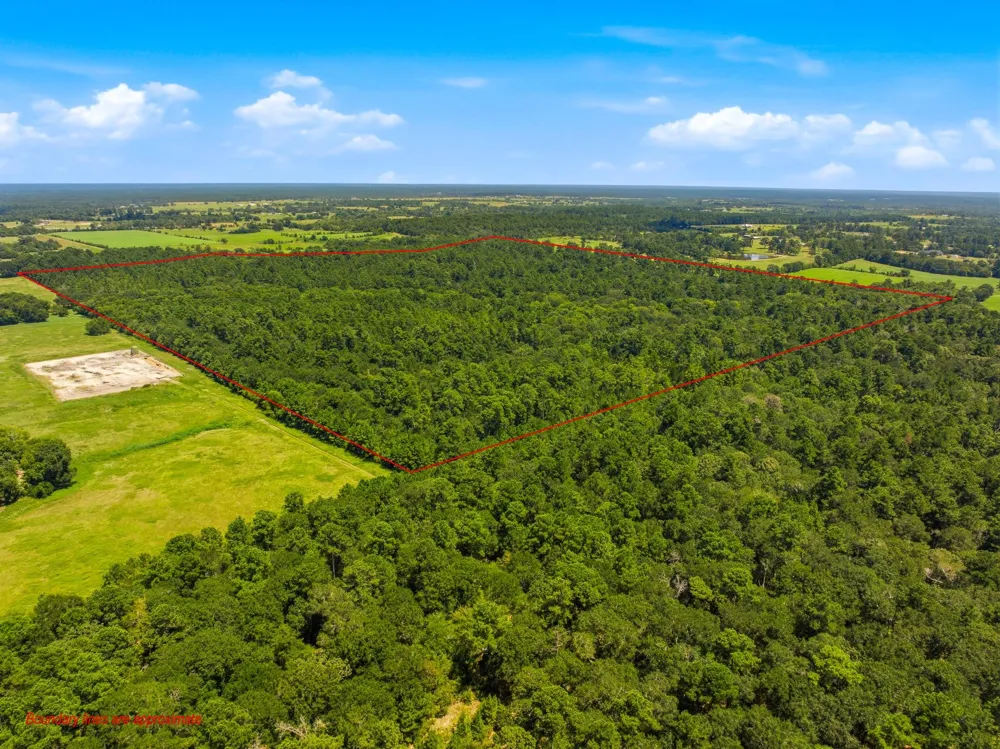 118 Cr 278c Anderson, TX 77830