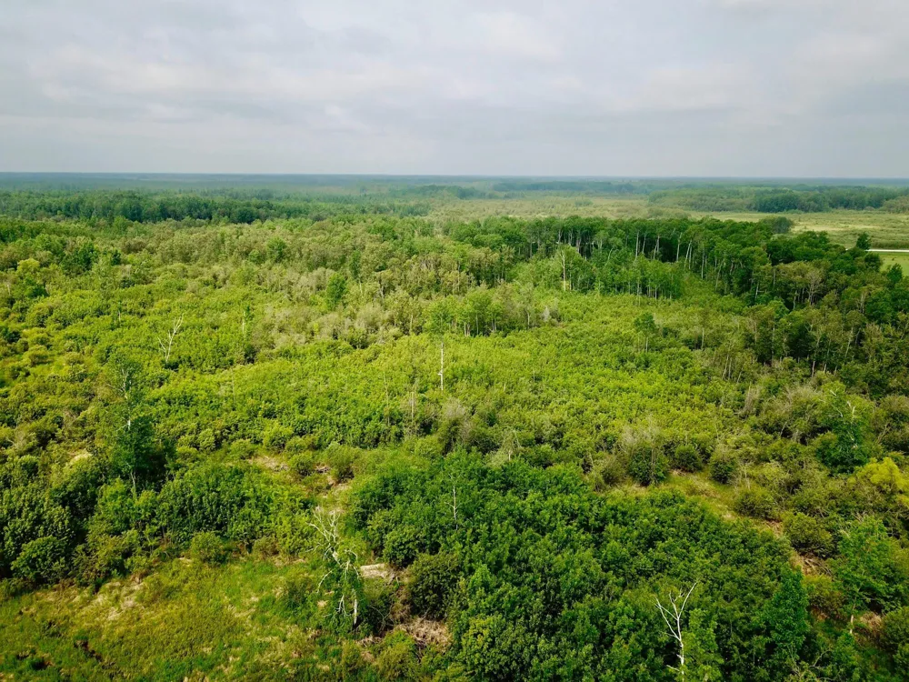3274 County Road 1 SW Baudette, MN 56623