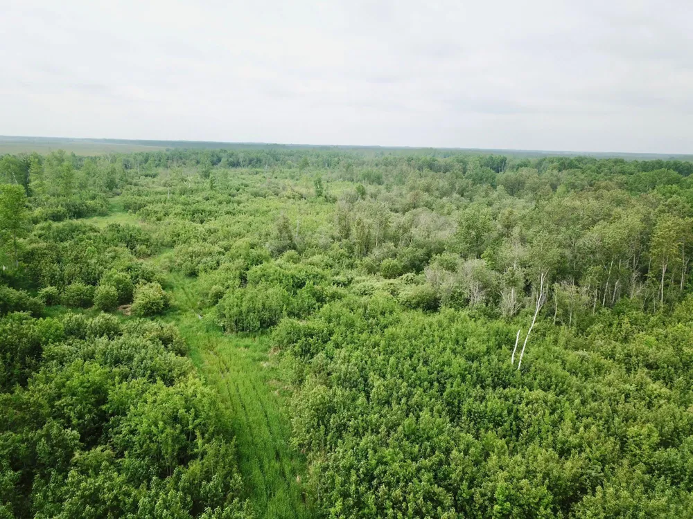 3274 County Road 1 SW Baudette, MN 56623