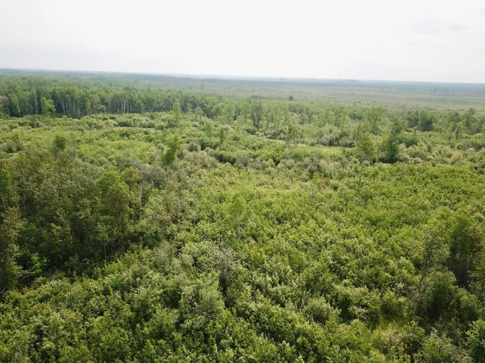 3274 County Road 1 SW Baudette, MN 56623