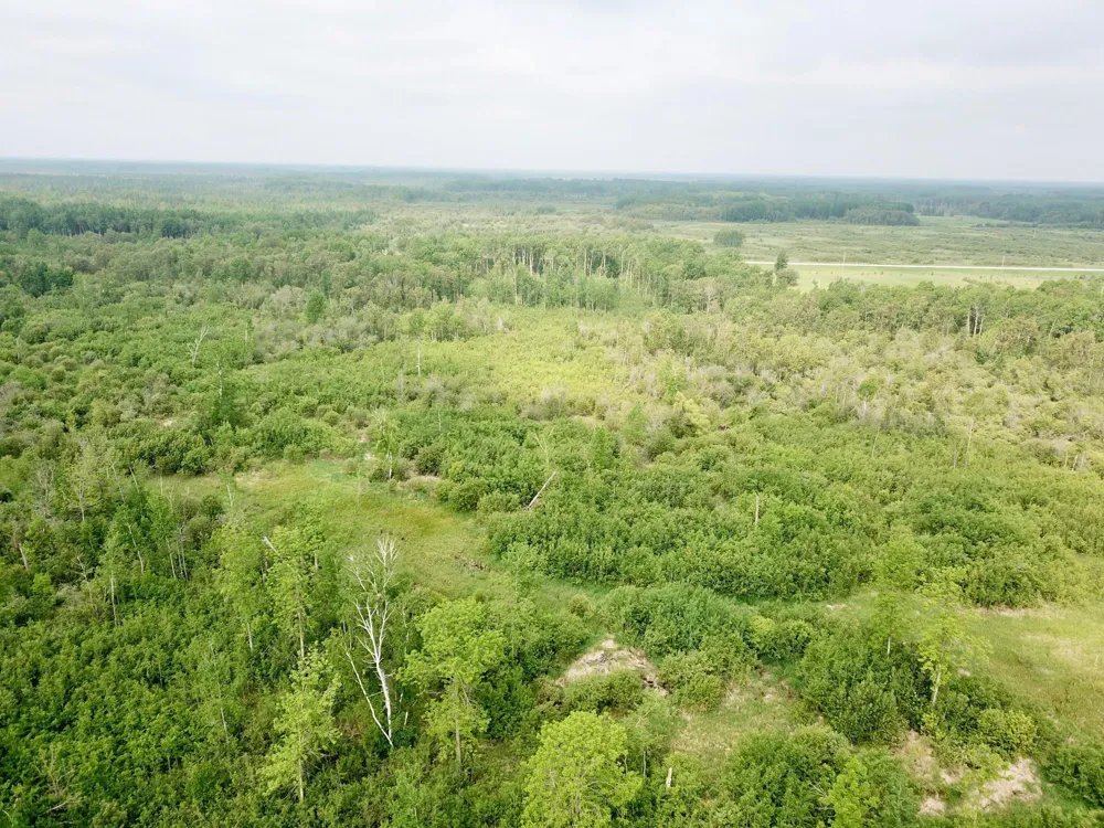 3274 County Road 1 SW Baudette, MN 56623