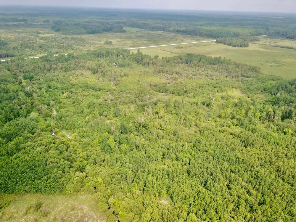 3274 County Road 1 SW Baudette, MN 56623