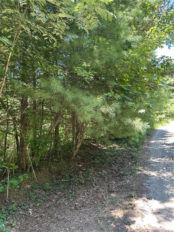 3960 Winston Drive Morganton, NC 28655