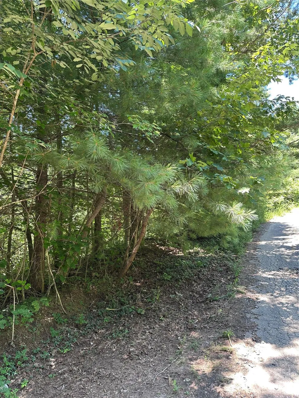 3960 Winston Drive Morganton, NC 28655