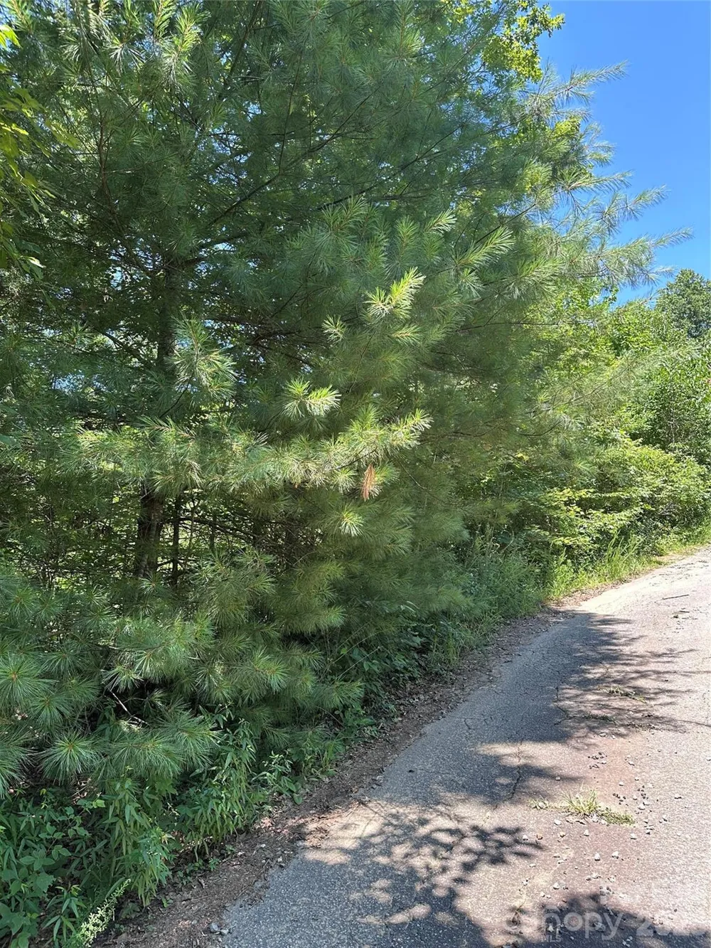 3960 Winston Drive Morganton, NC 28655