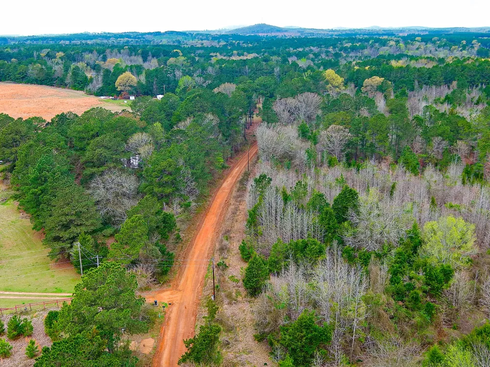 County Road 2339 Marietta, TX 75566