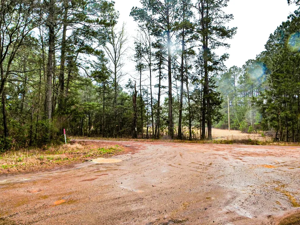 County Road 2339 Marietta, TX 75566