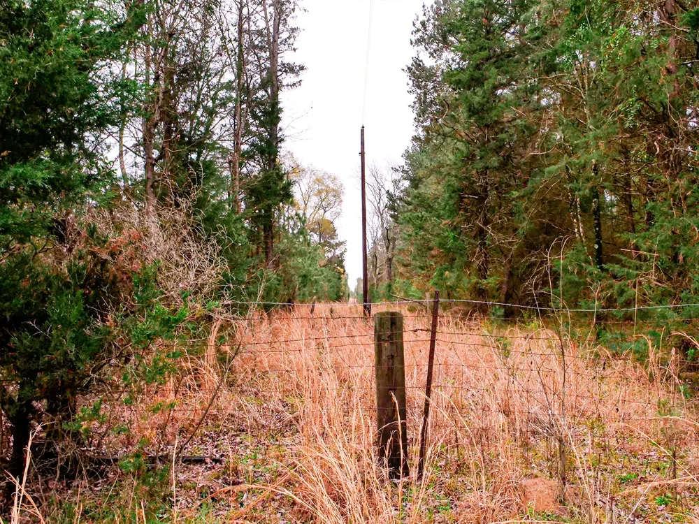 County Road 2339 Marietta, TX 75566