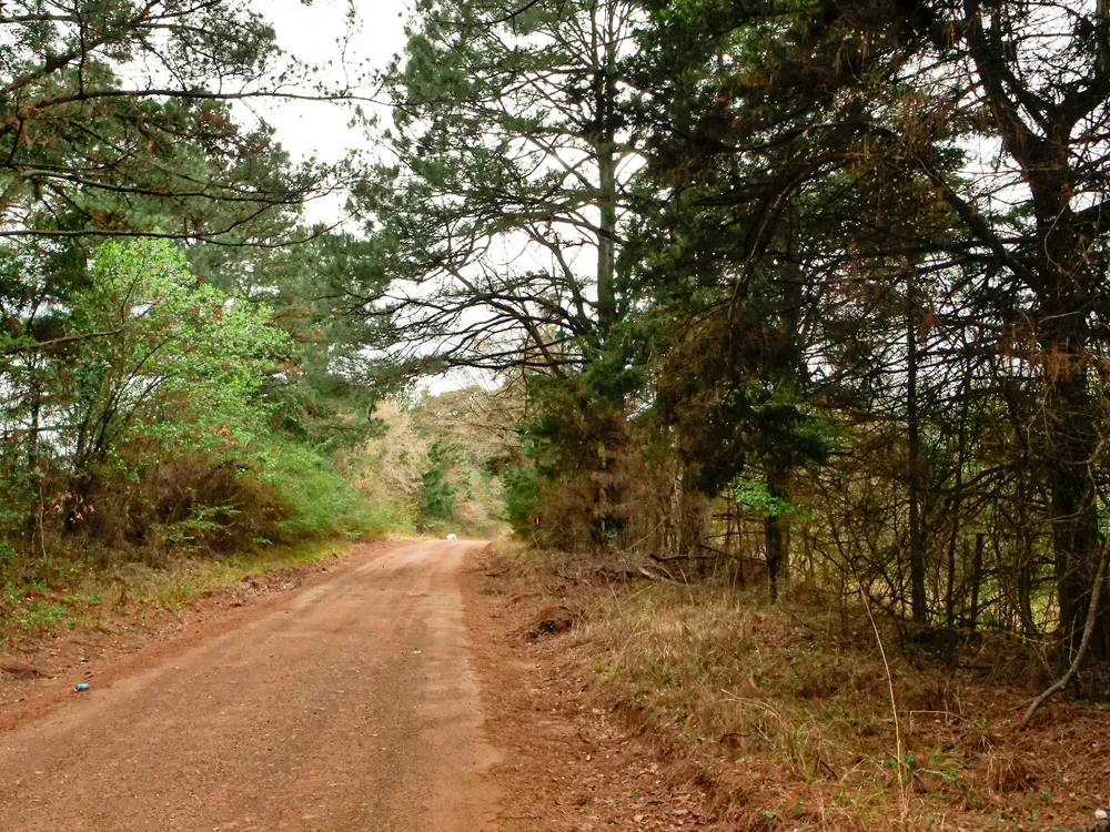County Road 2339 Marietta, TX 75566
