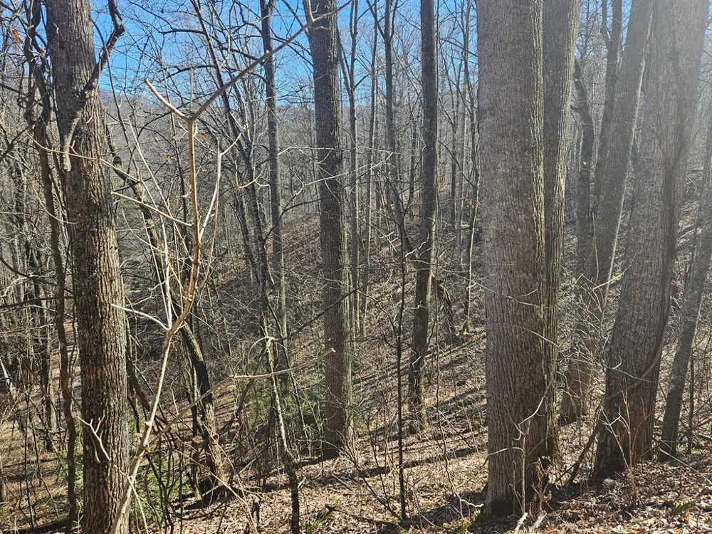 Whisper Mountain Road Franklin, NC 28734
