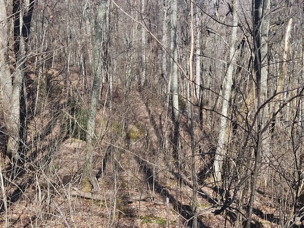 Whisper Mountain Road Franklin, NC 28734