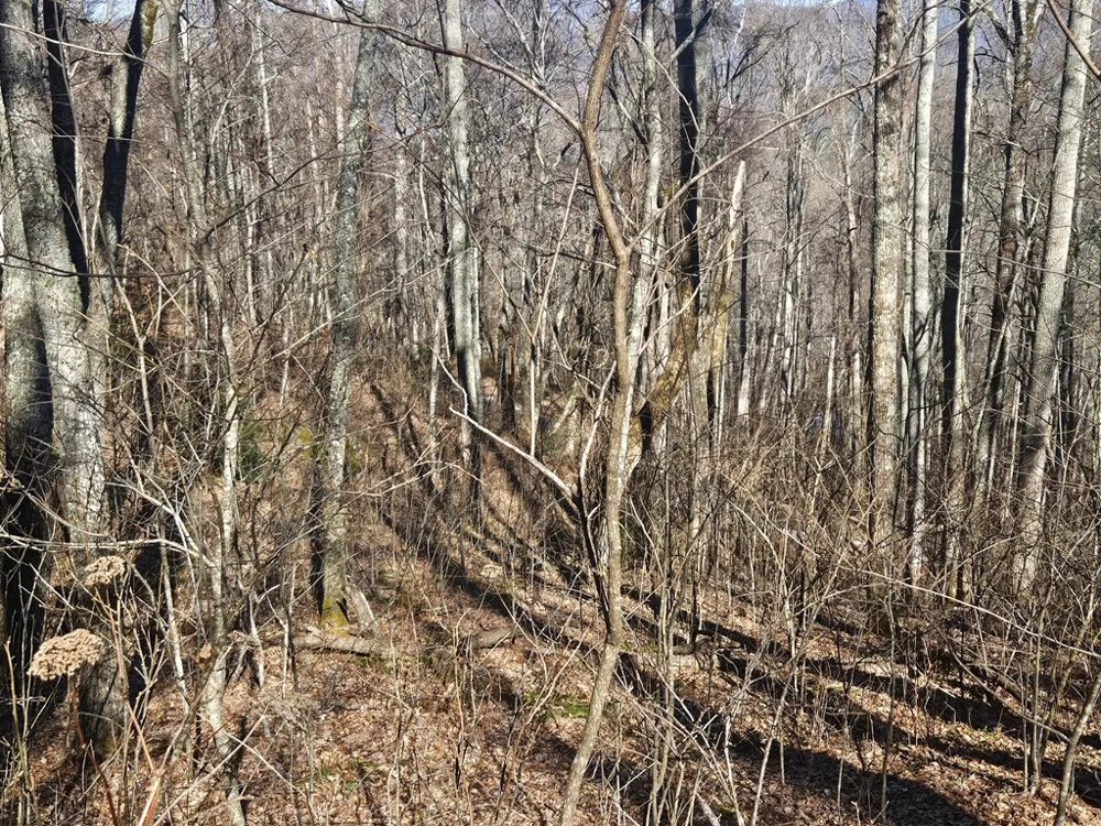 Whisper Mountain Road Franklin, NC 28734