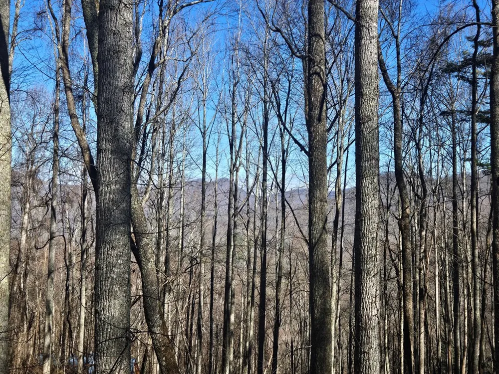 Whisper Mountain Road Franklin, NC 28734