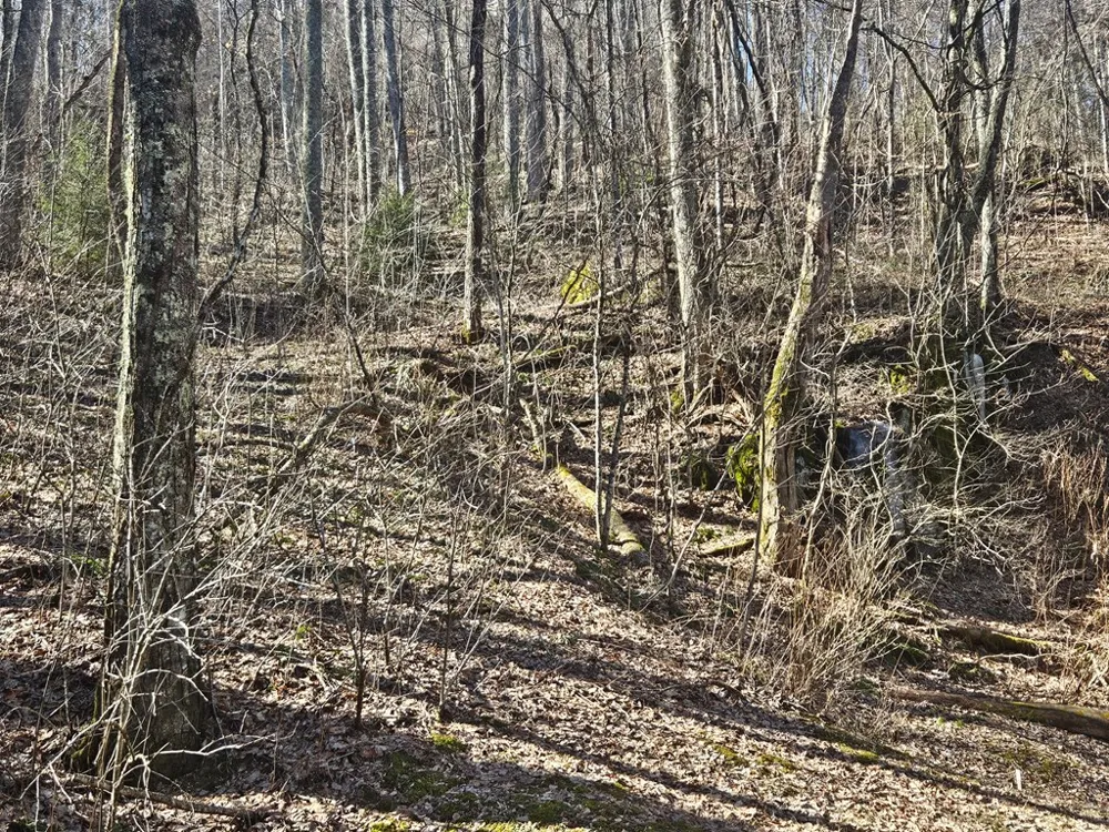 Whisper Mountain Road Franklin, NC 28734