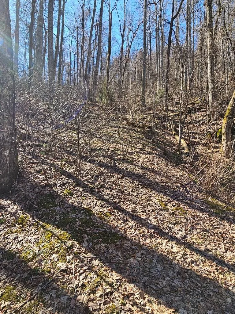 Whisper Mountain Road Franklin, NC 28734