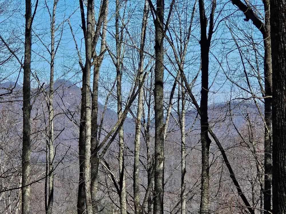 Whisper Mountain Road Franklin, NC 28734