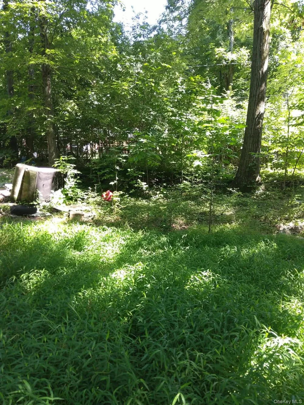 90 Arcadian Trail Blooming Grove, NY 10950