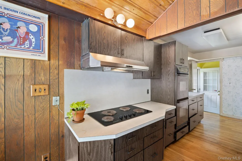 24 Cornell Drive Great Neck, NY 11020