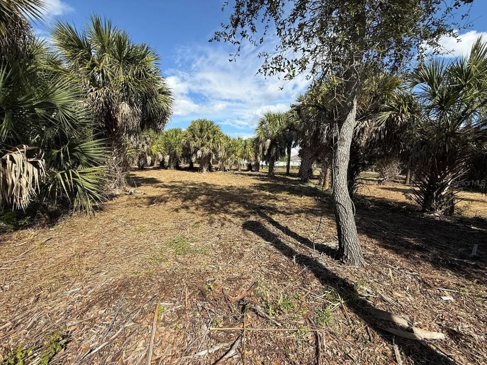 25360 FORTRAN DRIVE Punta Gorda, FL 33950
