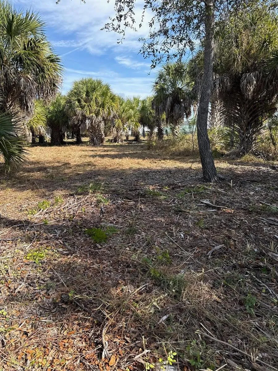 25360 FORTRAN DRIVE Punta Gorda, FL 33950