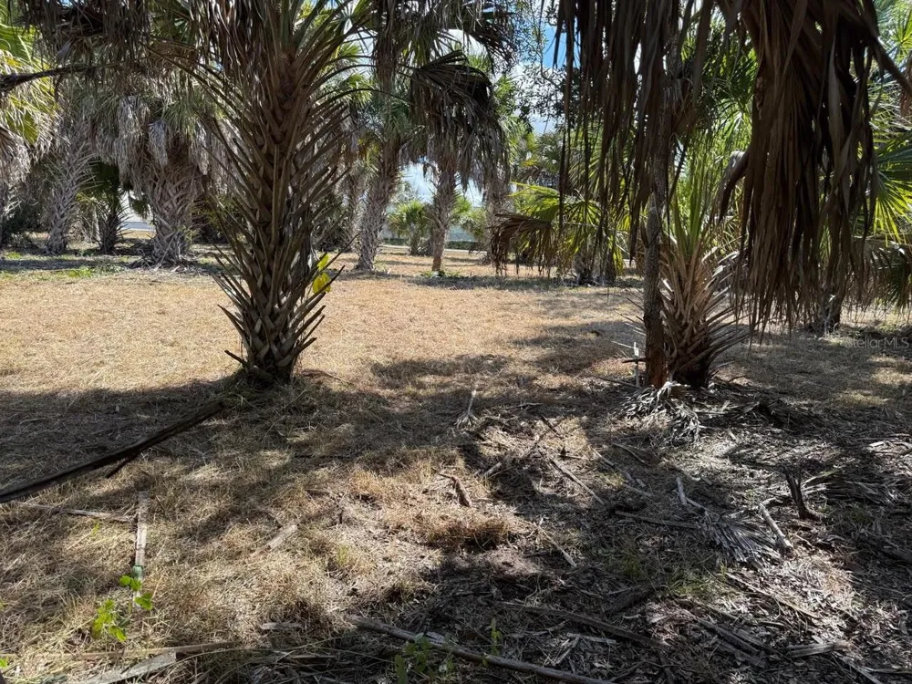 25360 FORTRAN DRIVE Punta Gorda, FL 33950