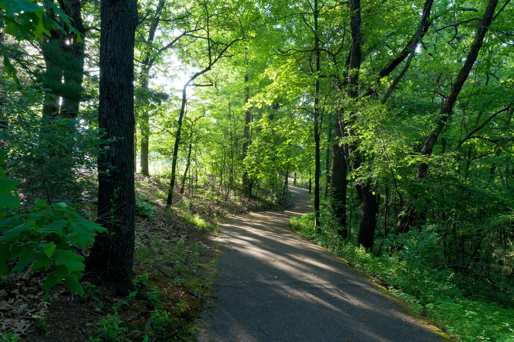 8605 Brighten Trail Mattawan, MI 49071