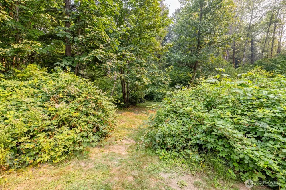 59741 Rockport Cascade Road Marblemount, WA 98267