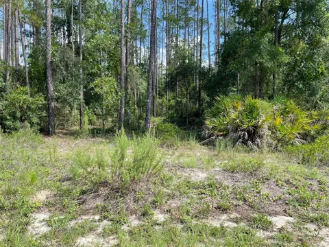 LOT 23 SW TIGER LAKE BOULEVARD W
