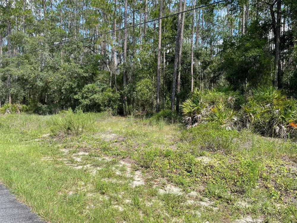LOT 23 SW TIGER LAKE BOULEVARD W Dunnellon, FL 34431