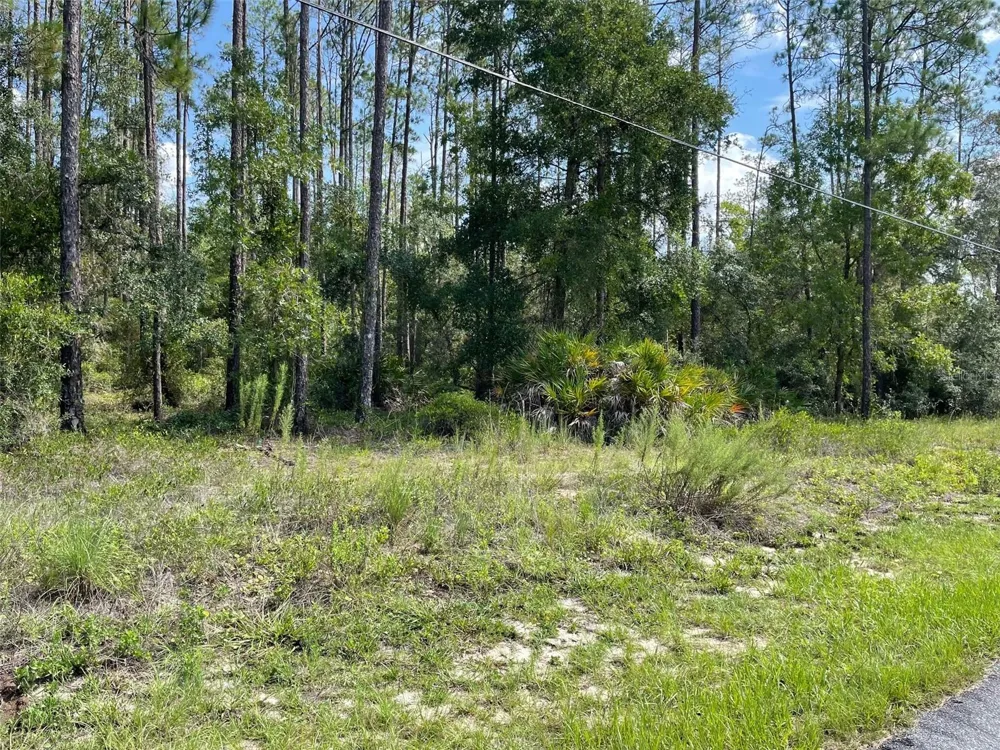 LOT 23 SW TIGER LAKE BOULEVARD W Dunnellon, FL 34431
