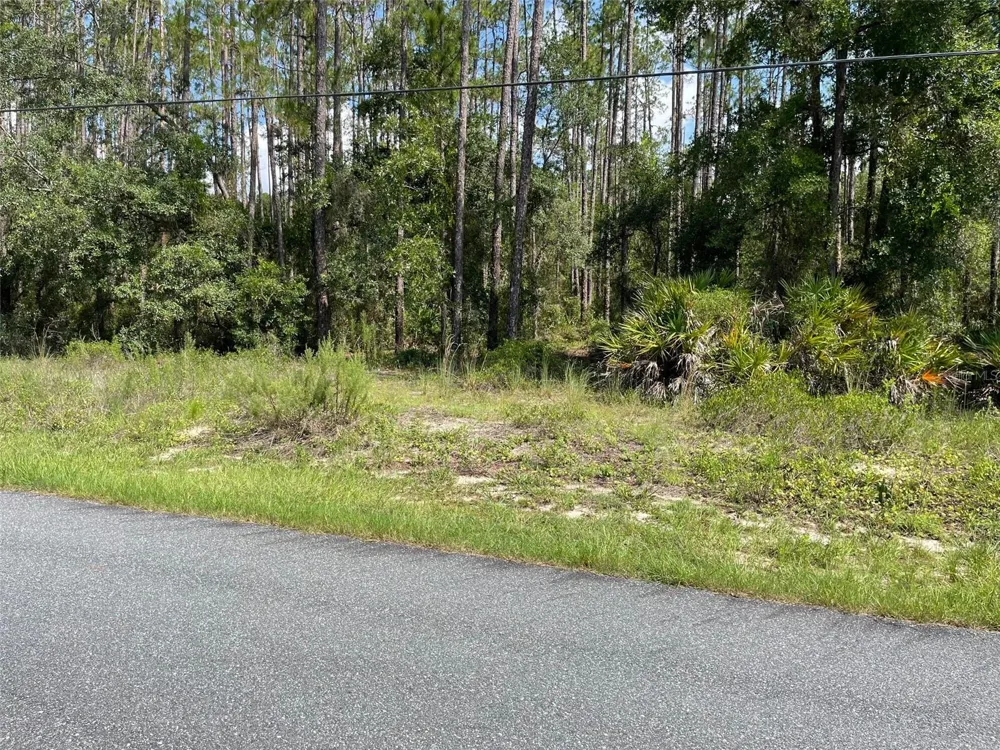LOT 23 SW TIGER LAKE BOULEVARD W Dunnellon, FL 34431