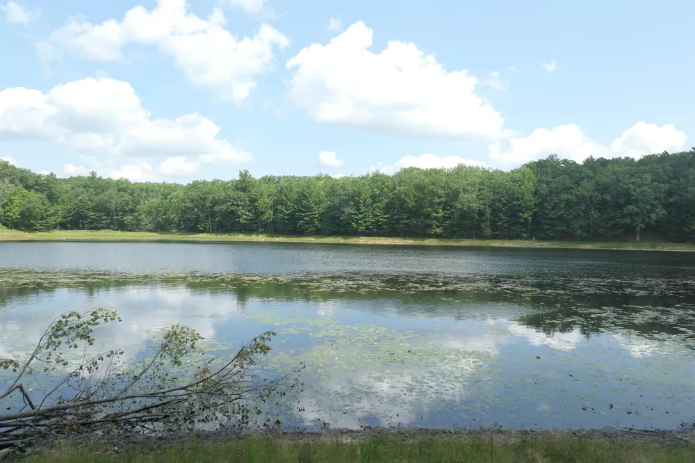 3420 Bungo Trail Lincoln Township, MI 48625