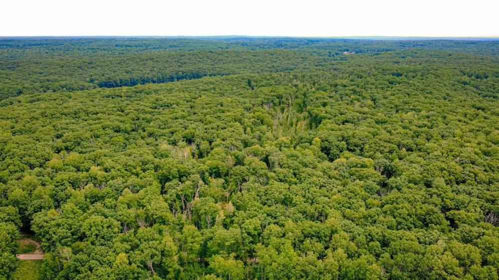 3420 Bungo Trail Lincoln Township, MI 48625