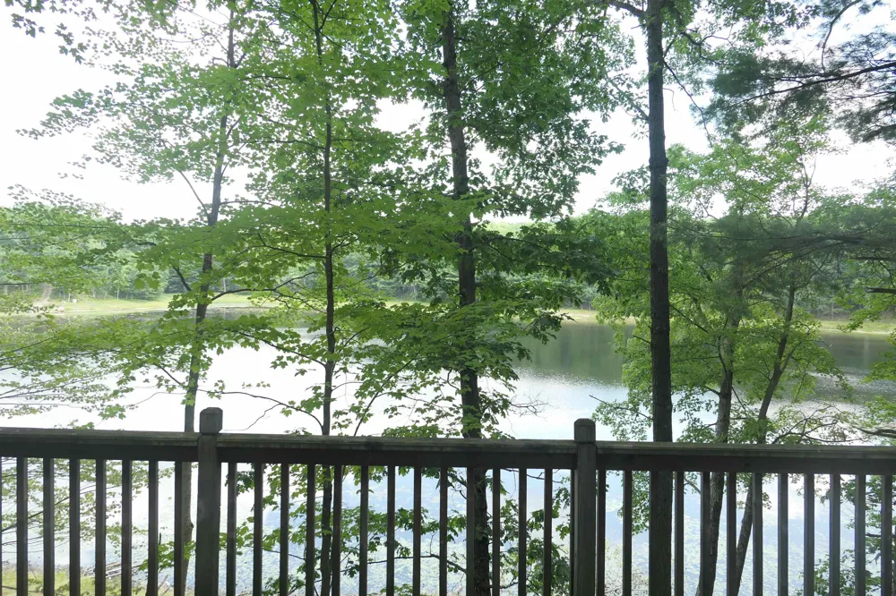 3420 Bungo Trail Lincoln Township, MI 48625