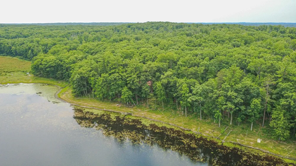 3420 Bungo Trail Lincoln Township, MI 48625