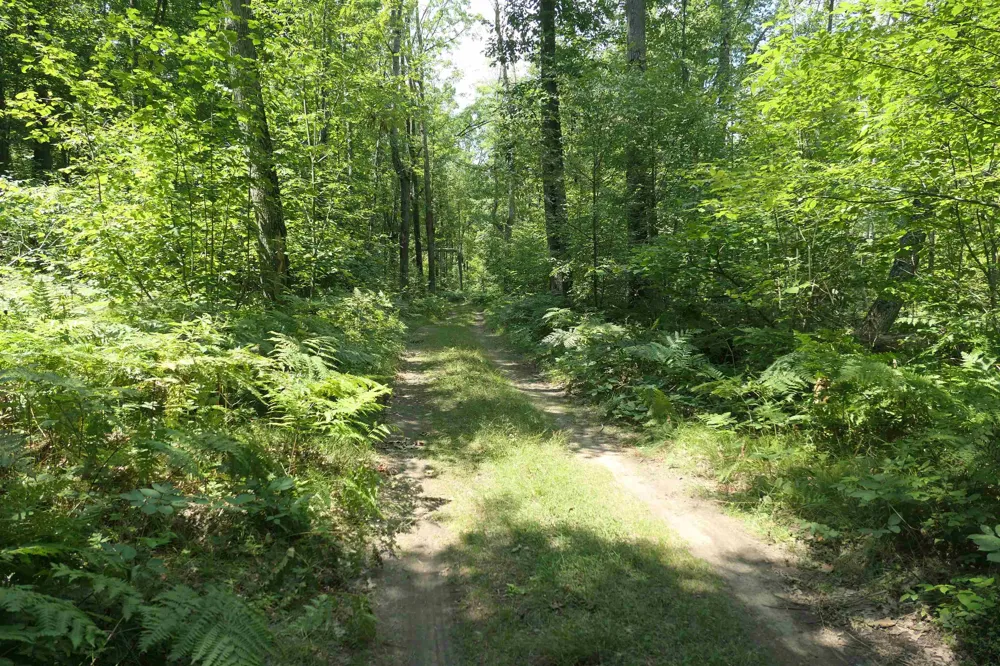 3420 Bungo Trail Lincoln Township, MI 48625