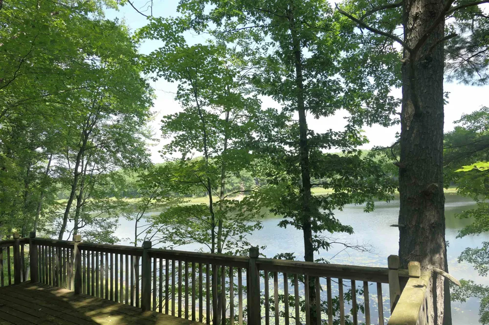 3420 Bungo Trail Lincoln Township, MI 48625
