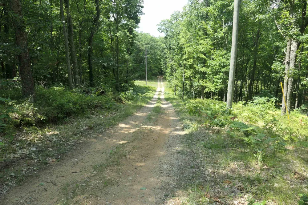 3420 Bungo Trail Lincoln Township, MI 48625