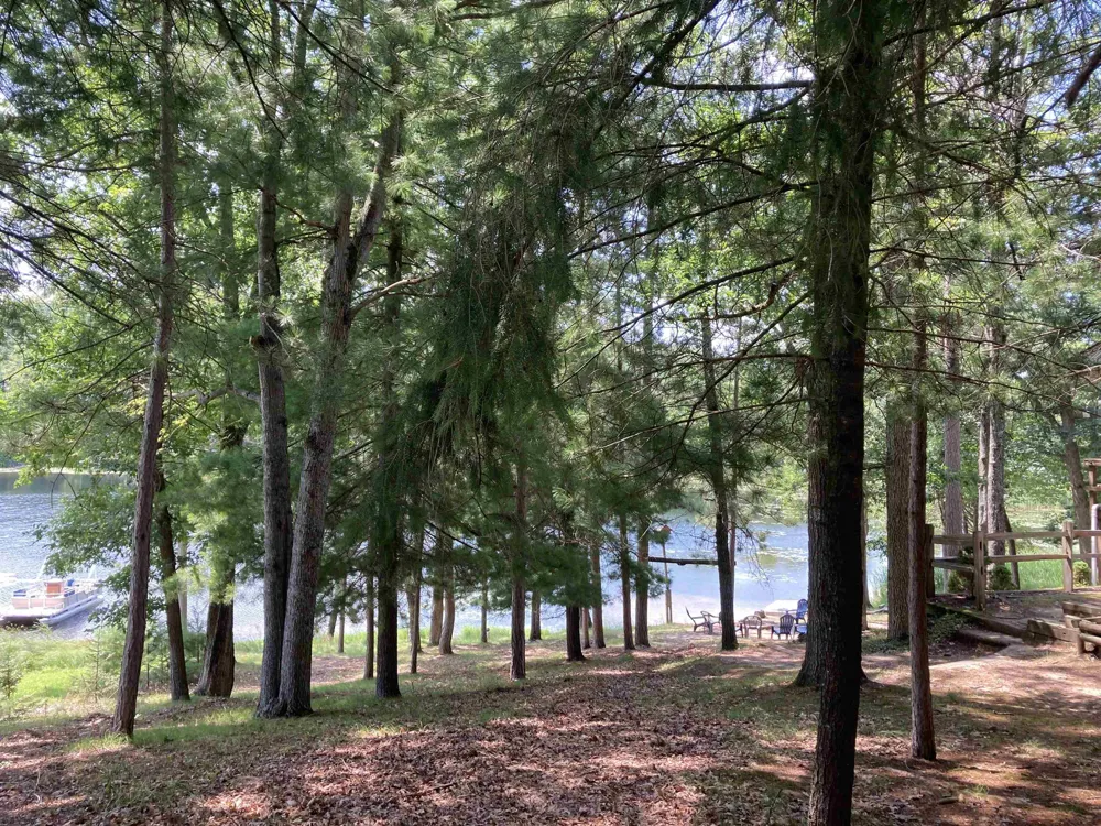 581 Abbott Road Big Creek Township, MI 48654